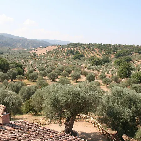Tenuta Ciminata Greco Lantställe *