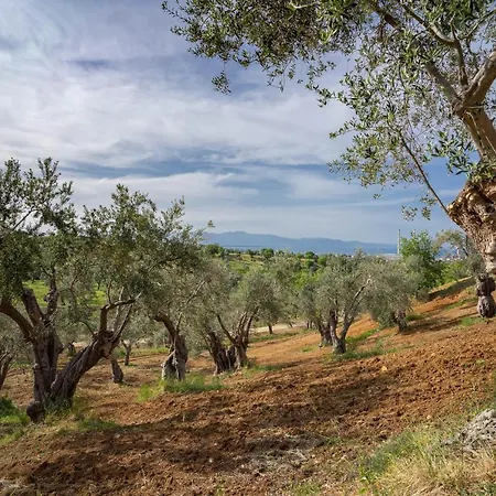 Lantställe Tenuta Ciminata Greco Rossano
