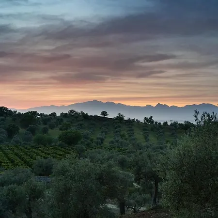Tenuta Ciminata Greco Rossano