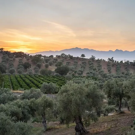 Tenuta Ciminata Greco Rossano