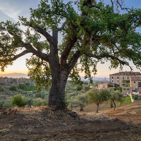 Tenuta Ciminata Greco Country house